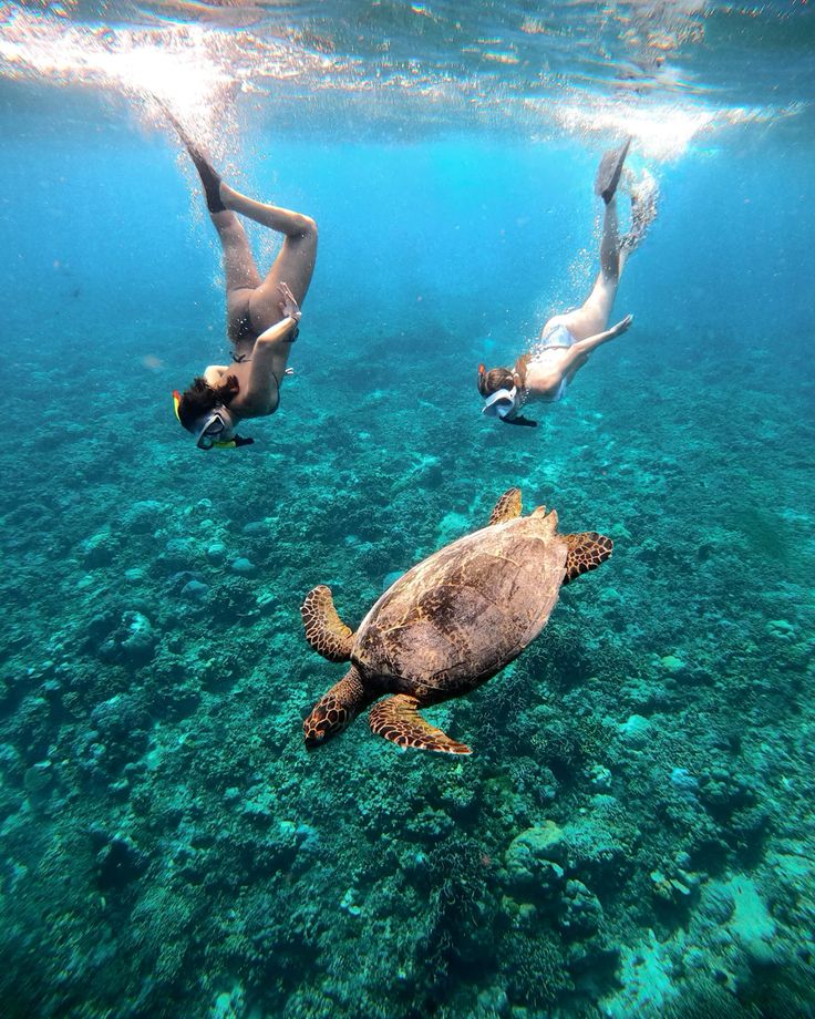 Final Balance - Texas Ladies TC Bali & Gili Islands - EARLY BIRD - Total trip price: $1,880