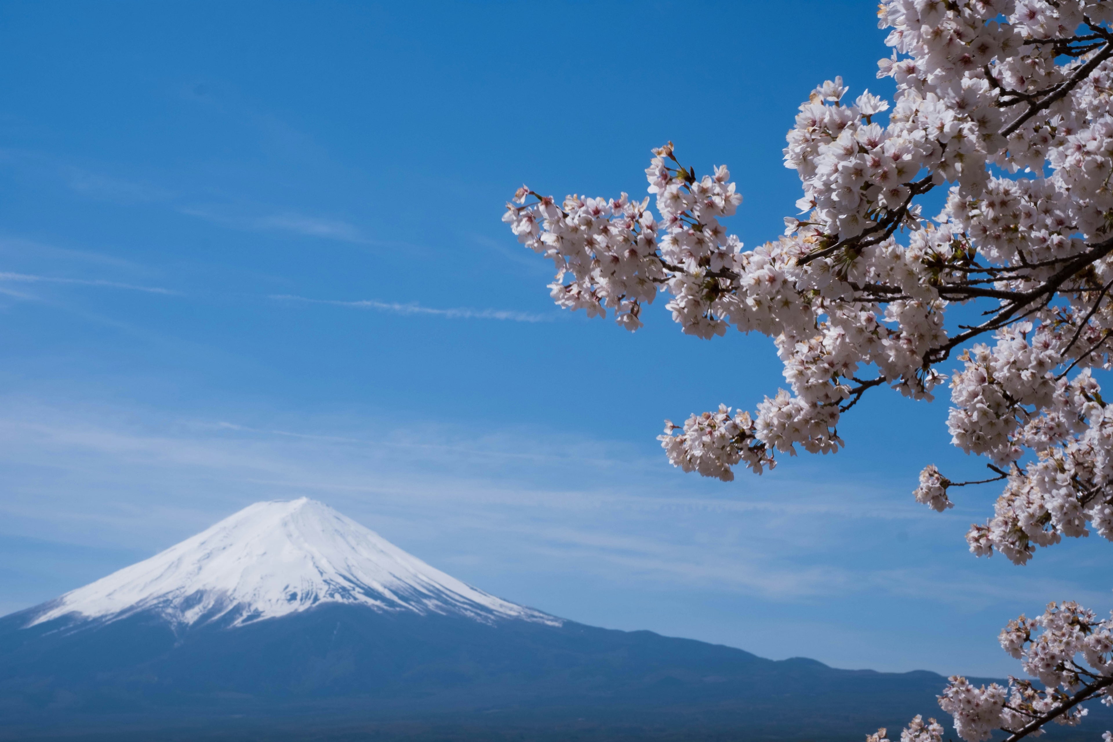 Japan November 6th (Transfer)