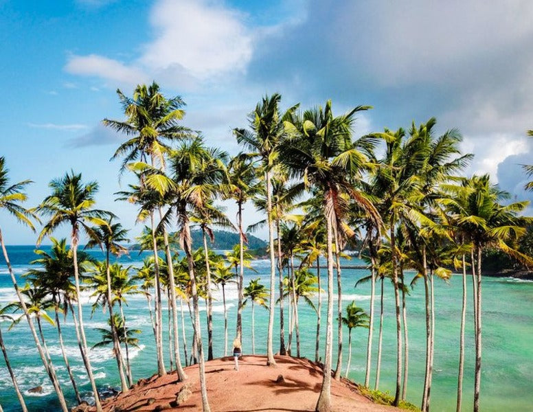 Sri Lanka April 27th Deposit: £300 Total Price: £1037
